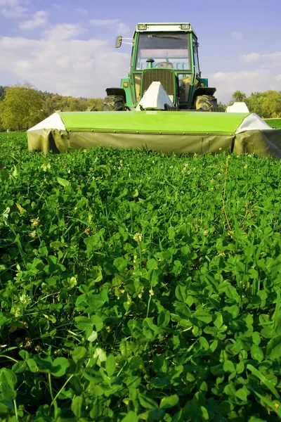 stock image Cutting grass