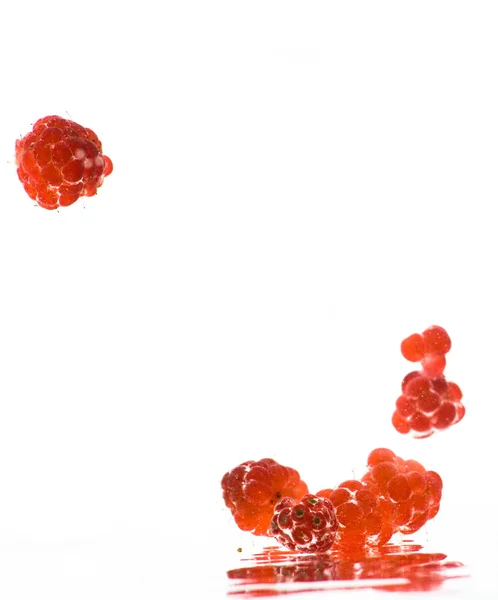 Raspberries splash — Stock Photo, Image