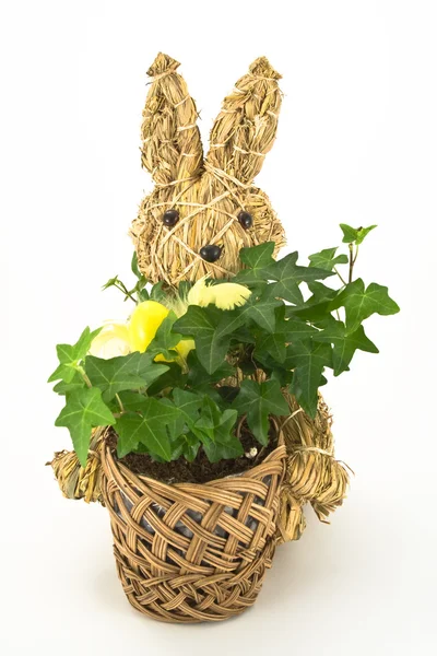 Knitted Easter Bunny — Stock Photo, Image