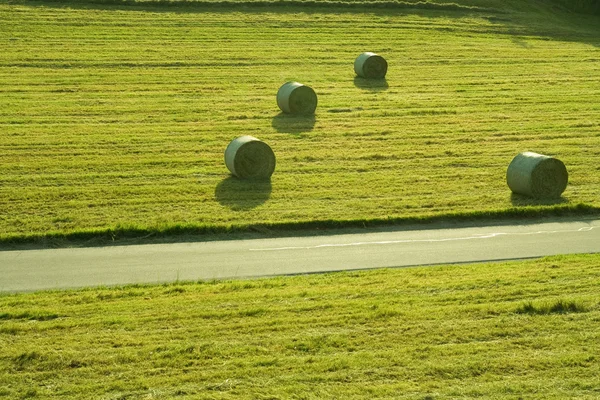 stock image Hay bale