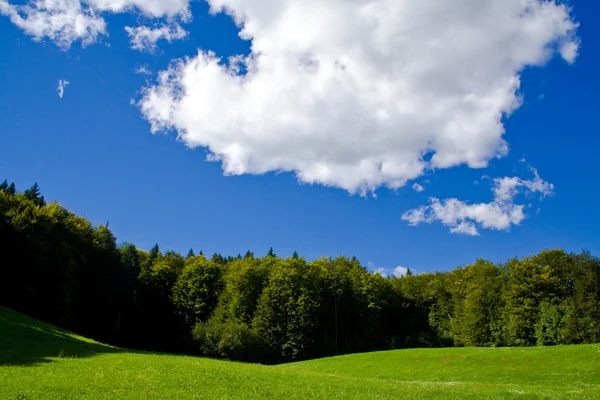 stock image Fabulous Nature