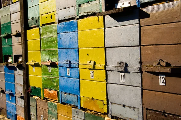 stock image Colorful Beehives