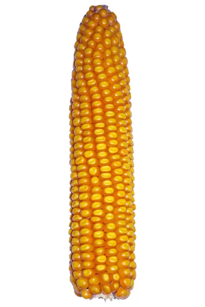 mısır
