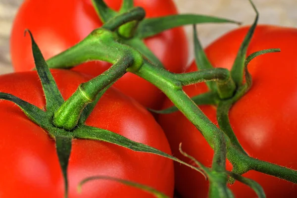 Grupo de tomate Imagem De Stock