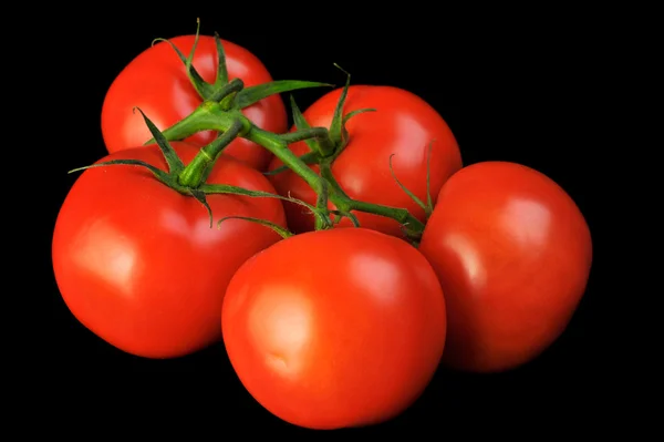 Grupo de tomate Fotografia De Stock