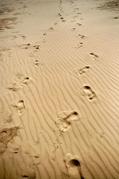 stock image Footprints on sand