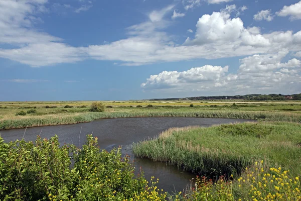 Stock image Salt Marsh