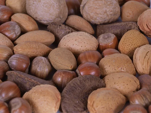 Assorted nuts — Stock Photo, Image