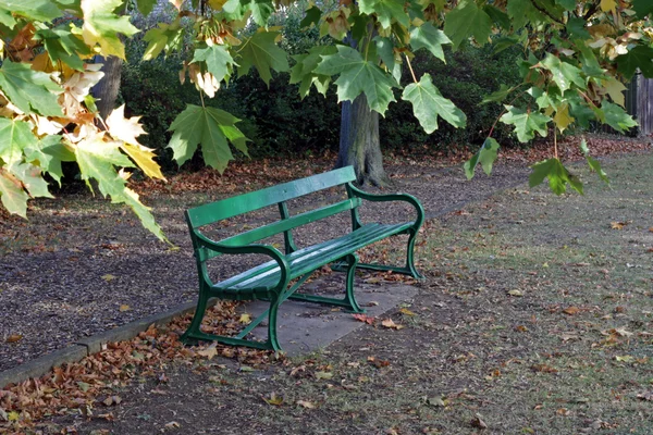 Скамейка в парке в начале осени . — стоковое фото