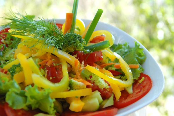 Heldere salade — Stockfoto