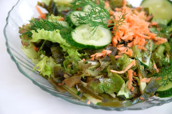 Salade van zee boerenkool — Stockfoto