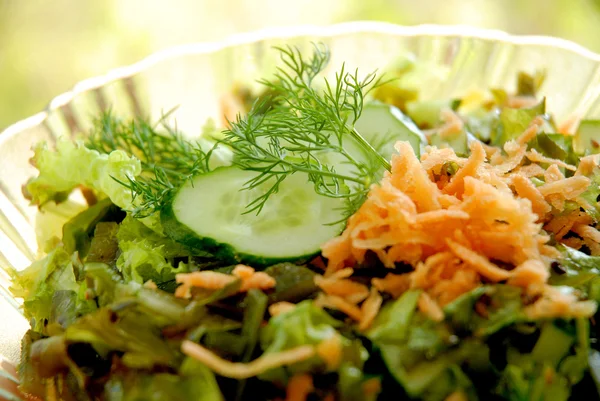 Salad from sea kale — Stock Photo, Image