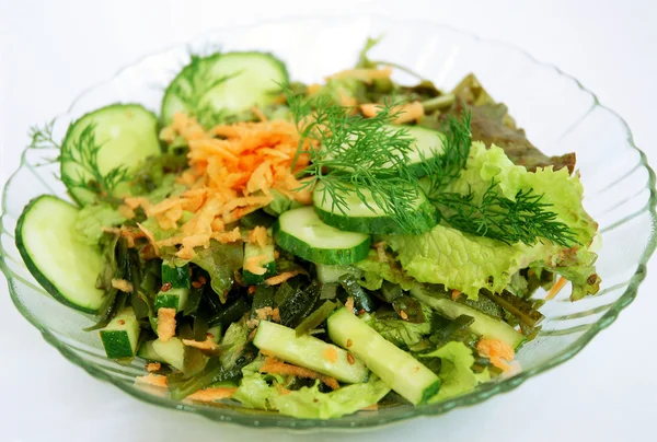 Salad dari kubis laut — Stok Foto