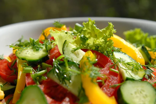 Salad from vegetables 12 — Stock Photo, Image