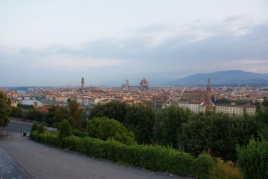 Florence panoramic view