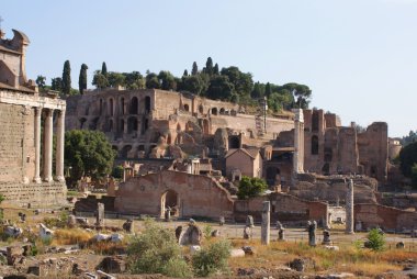 Roman Forum clipart