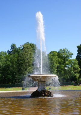 Bahçe Peterhof Petersburg