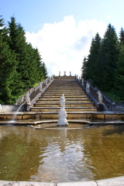 Peterhof Bahçe