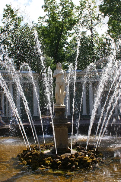 Jardín de Peterhof — Foto de Stock