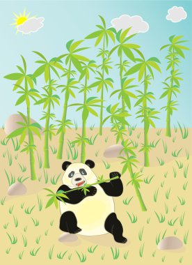 Panda.