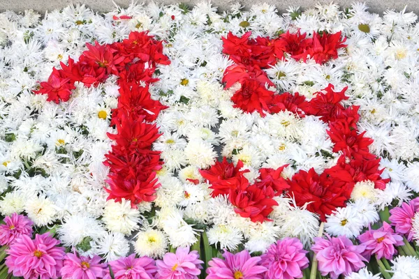 Número 15 com flores — Fotografia de Stock
