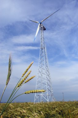 Wheaten field with a windmill clipart