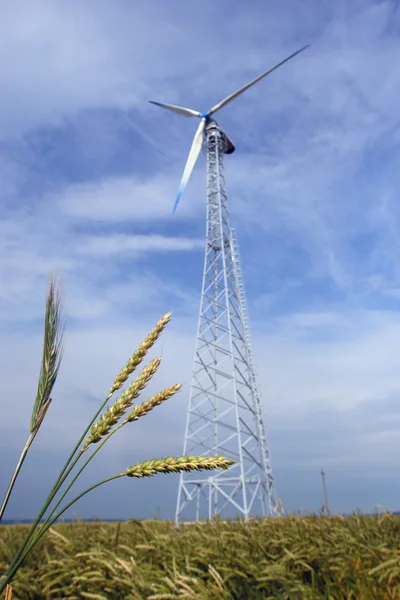 Campo Wheaten con un molino de viento — Foto de Stock