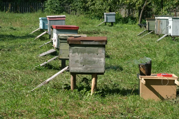 stock image Several beehives at green grass