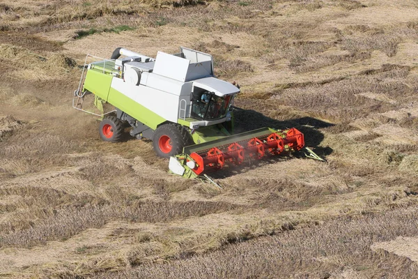 Stroj sklízí kukuřičné pole — Stock fotografie