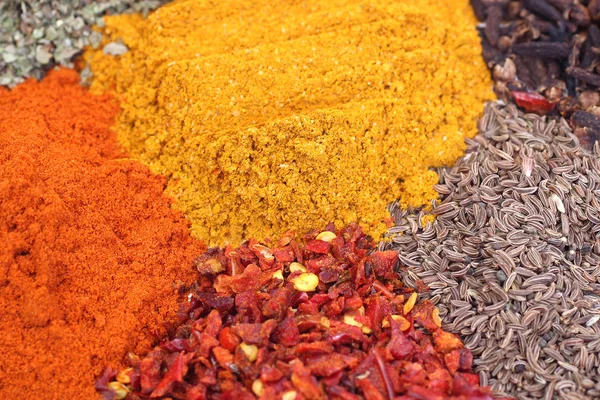 Set of dry spices — Stock Photo, Image