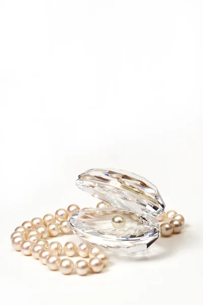 stock image Shell with pearls