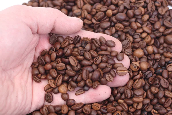 Eine Handvoll Kaffee — Stockfoto