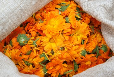 calendula çantası