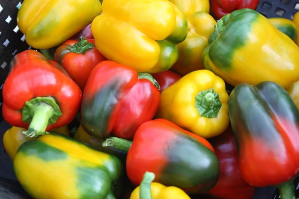 stock image Fresh vegetables - peppers