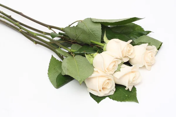 Букет з кремових троянд — стокове фото