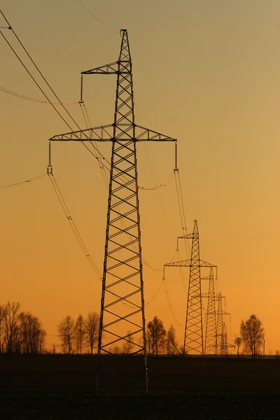 Ряд столбов электричества — стоковое фото