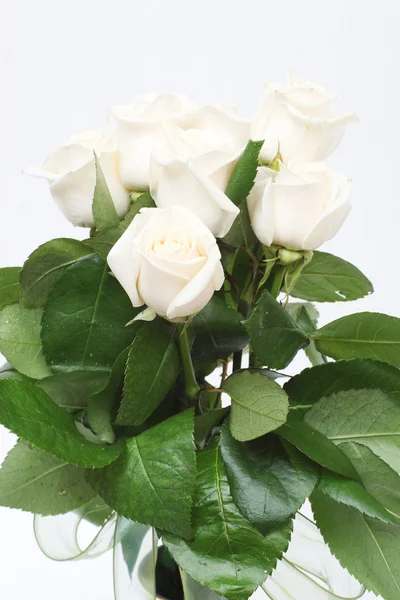 Bouquet of cream roses i — Stock Photo, Image