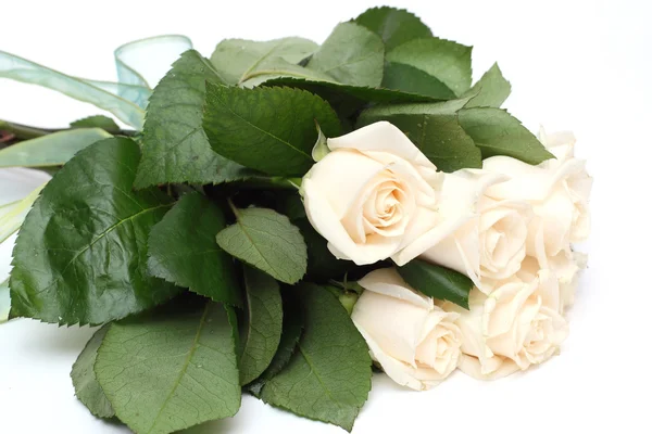Букет кремовых роз — стоковое фото