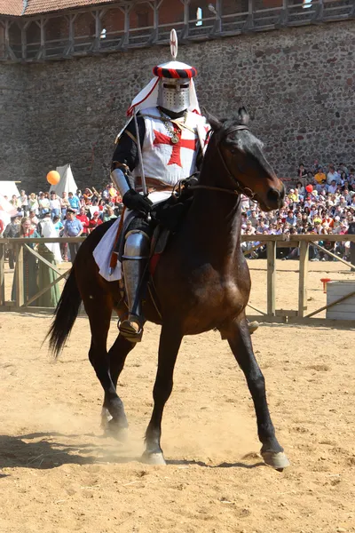 At üstünde bir şövalye — Stok fotoğraf