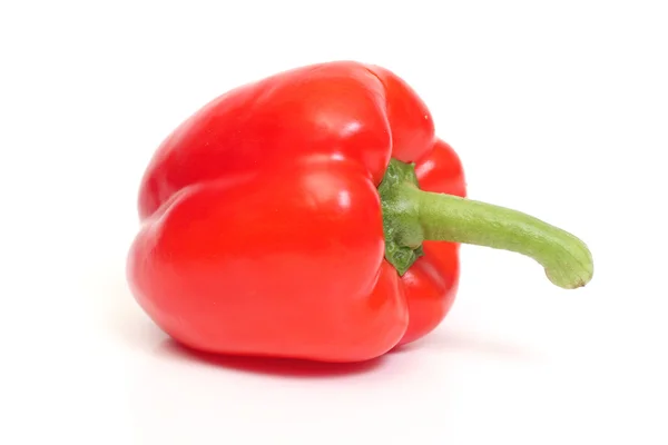 stock image Red pepper