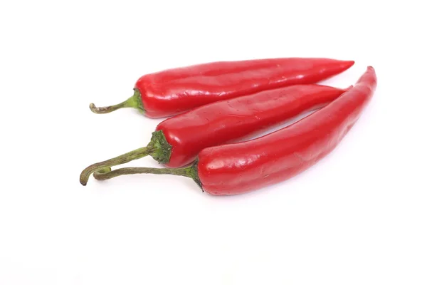 stock image Red chillies