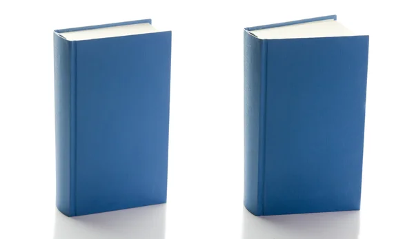 Dua buku biru — Stok Foto