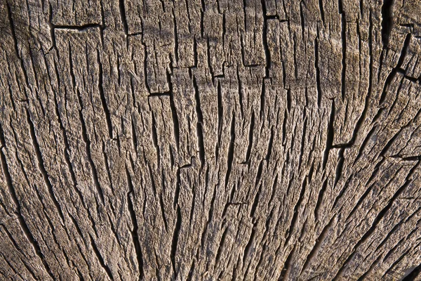 Сектор старинного винтажного дерева — стоковое фото