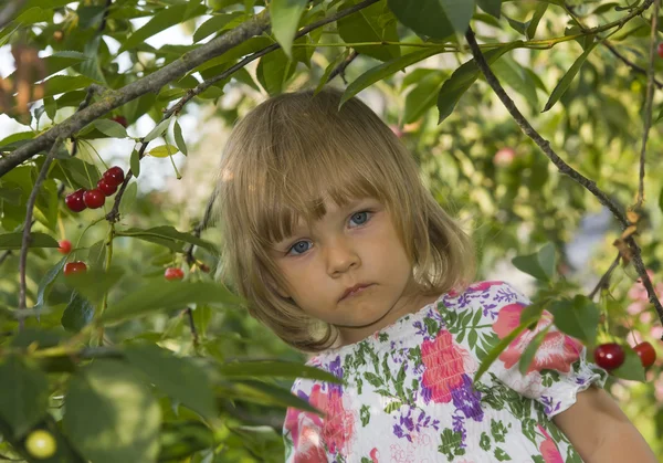 樱桃果园里的女孩 — 图库照片