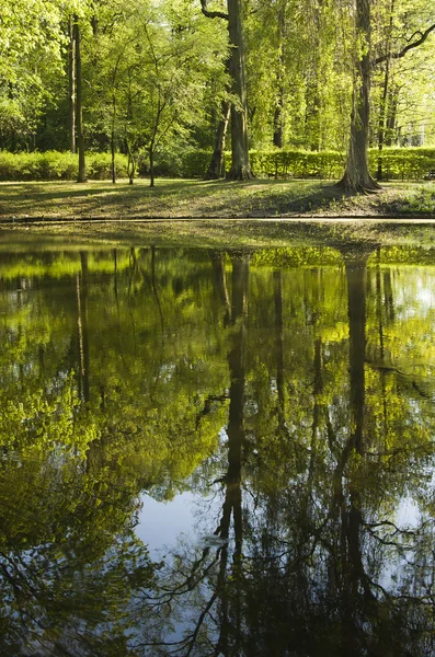 Güneşli bir bahar günü parkta gölet — Stok fotoğraf
