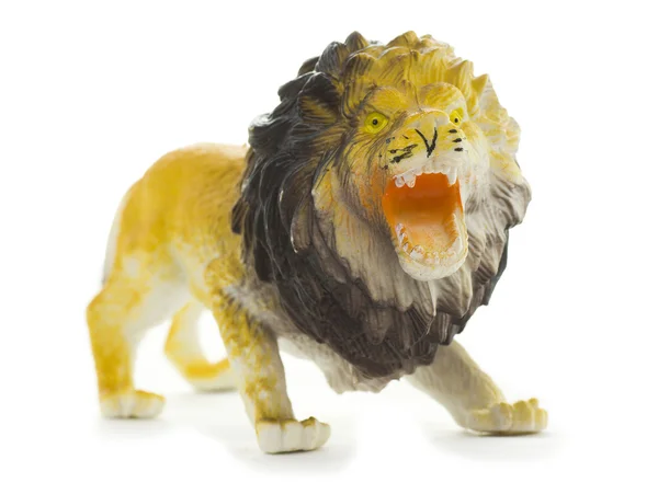 stock image Lion