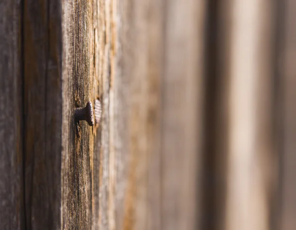 Detail hřebíky v dřevěné stěny — Stock fotografie