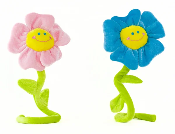 Два улыбающихся цветка 1 — стоковое фото