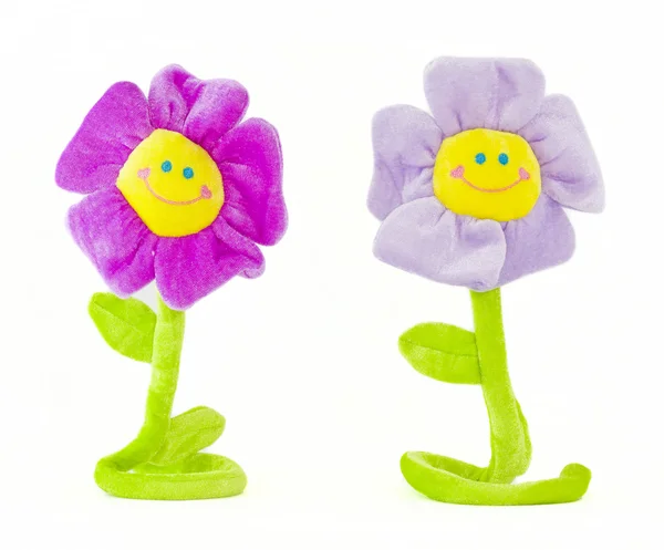 Two smiling flowers Stock Picture