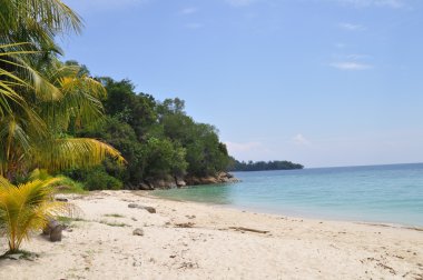 tropikal kumlu plaj, manukan, Malezya
